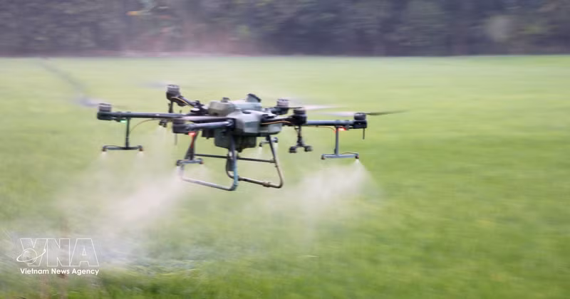 Agricultores de la provincia de An Giang utilizan drones para fumigar con pesticidas, ahorrando así costes, esfuerzo y tiempo. (Foto: VNA)