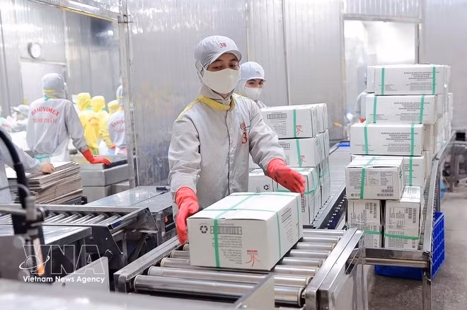 Empaquetado de productos de almejas para exportación. (Foto: VNA)