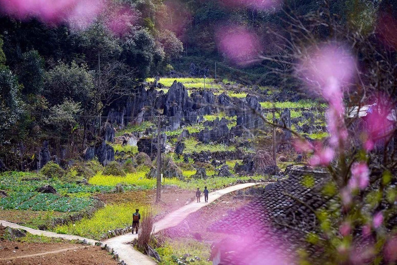 La belleza de la Meseta rocosa de Dong Van. (Foto: VNA)