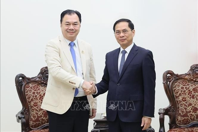 El viceprimer ministro vietnamita Bui Thanh Son recibe a Kounlaphanh Vongnathy, vicepresidente del Grupo Phongsupthavy. (Foto: VNA)