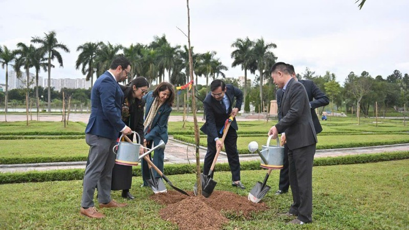 Delegados plantan árboles samanea en el Parque de la Paz. (Foto: Embajada de Colombia en Vietnam)