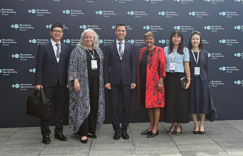 Dang Hoang Giang, viceministro de Relaciones Exteriores de Vietnam (tercero desde la izquierda), y los delegados. (Foto: VNA)