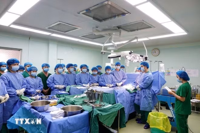 Realizan histórico trasplante renal en el Delta del Mekong de Vietnam. (Foto: VNA)