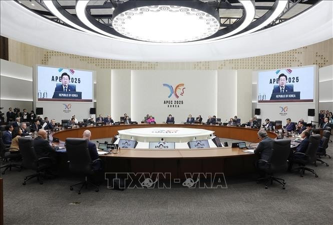 El presidente de Vietnam, Luong Cuong, participa en la Cumbre de Líderes Económicos del APEC. (Foto: VNA)