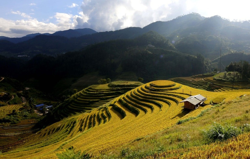 Las terrazas de arroz de Mu Cang Chai son conocidas desde hace tiempo por su belleza natural y sus paisajes de postal. (Foto: Tuan Anh/VNA).