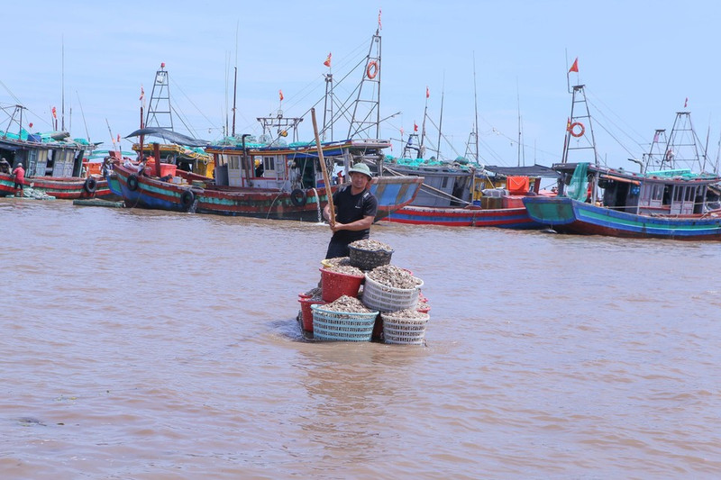 Pescadores transportan mariscos desde sus barcos hasta la orilla utilizando balsas, para luego venderlos en el mercado. (Foto: VNA)