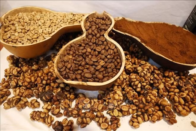 Foto ilustrativa. (Fuente: VNA)