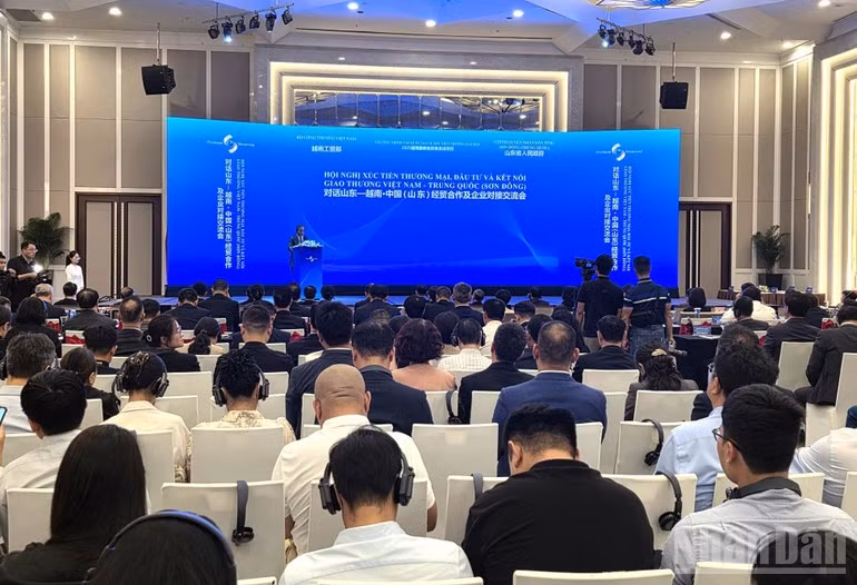 Escena de la conferencia. 