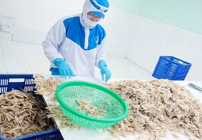 Productos de hueso de pescado exportados a Japón. (Foto: VNA)