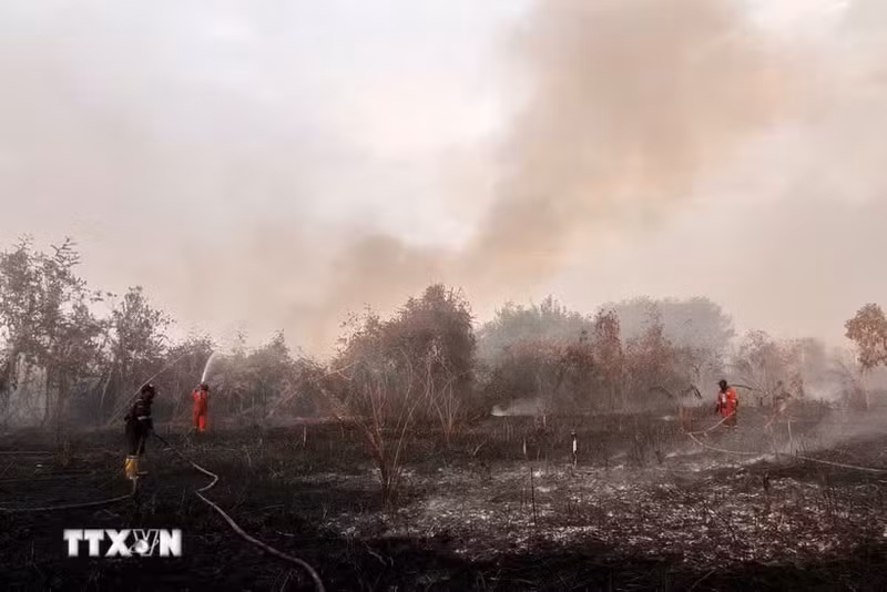 Los bomberos trabajan para extinguir un incendio forestal en Kampar, provincia de Riau, Indonesia, el 20 de julio de 2025. (Foto: Xinhua/VNA)