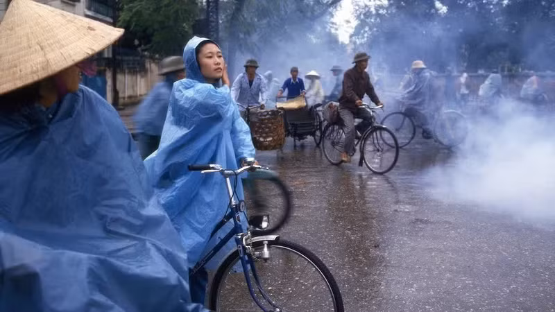 Una obra de la fotógrafa Lily Franey