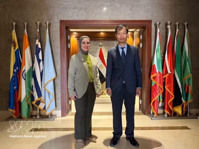 El embajador de Vietnam en Egipto, Nguyen Nam Duong, y la viceministra egipcia de Relaciones Exteriores para la Cooperación Internacional, Samar Al-Ahdal. (Foto: VNA)