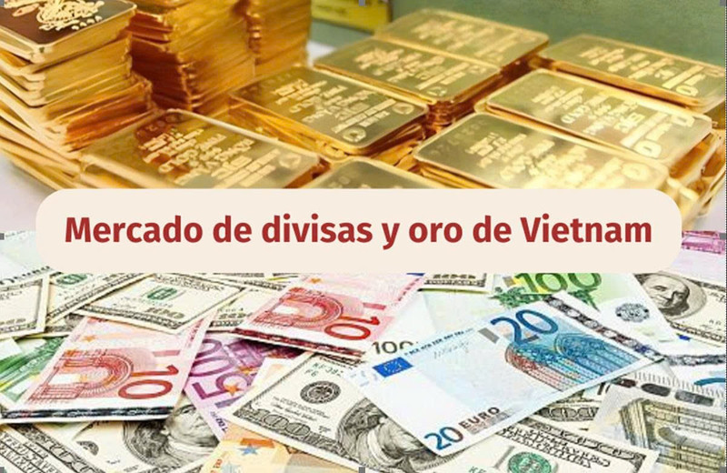 Infografía: Mercado de divisas y oro de Vietnam -10 de junio de 2025