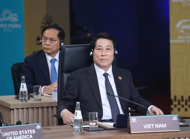 El presidente de Vietnam, Luong Cuong. (Foto: VNA)