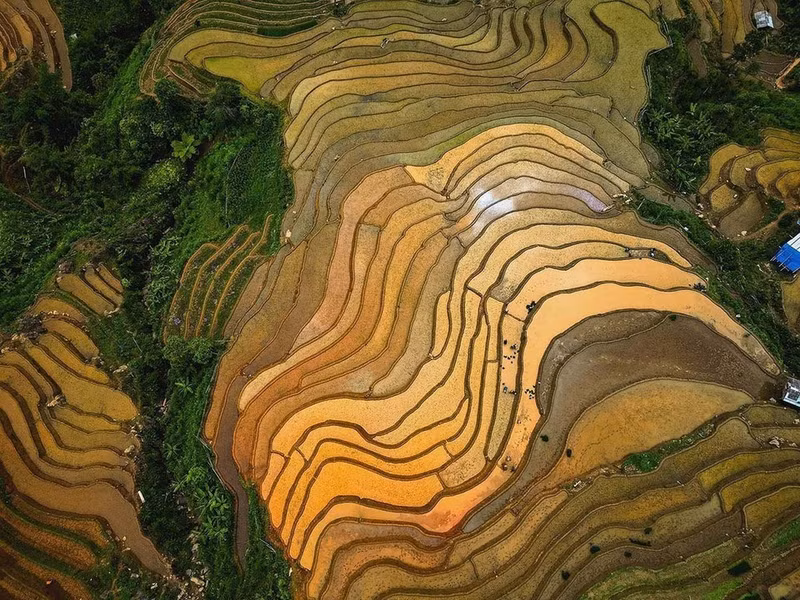Los campos en terrazas en la cima de la montaña son el resultado del trabajo de numerosas generaciones. (Foto: VNA)