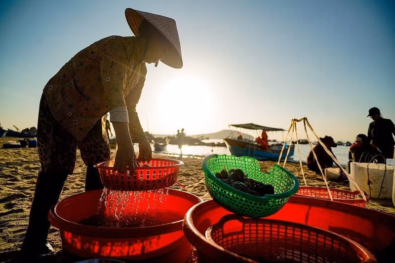 La imagen sencilla y rústica de la gente trabajadora del pueblo pesquero. (Foto: VNA)