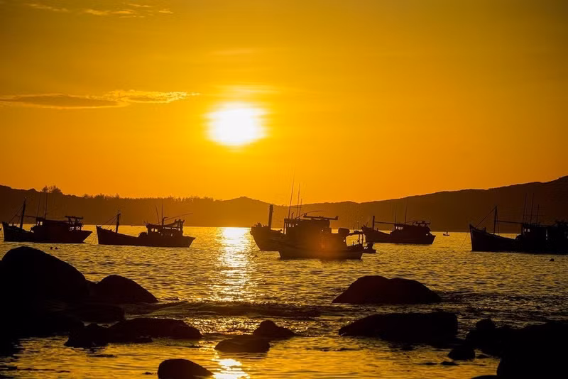 Cada mañana, barcos pesqueros grandes y pequeños traen productos acuáticos para comercializarlos en el mercado de pescado de Phuoc Dong. (Foto: VNA)