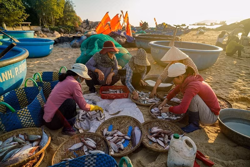 La compraventa se realizan rápidamente. (Foto: VNA)