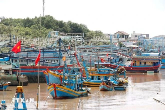 Foto ilustrativa. (Foto: VNA)