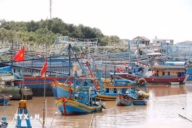 Foto ilustrativa. (Foto: VNA)