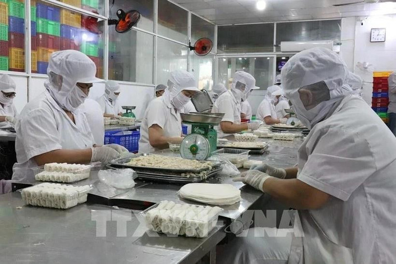 Trabajadores elaboran rollitos de primavera fritos en la empresa alimentaria Kim Ngoc, en el distrito de Tan An, provincia de Tay Ninh. (Foto: VNA)