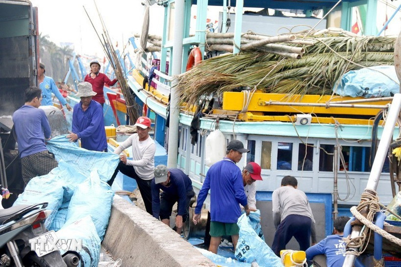 Los pescadores preparan aparejos de pesca, hielo y otros artículos necesarios para su primera salida de pesca del año en el puerto pesquero de Phan Thiet. (Foto: VNA)