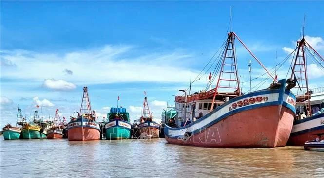 En el puerto pesquero de Ganh Hao, en Ca Mau. (Foto: VNA)