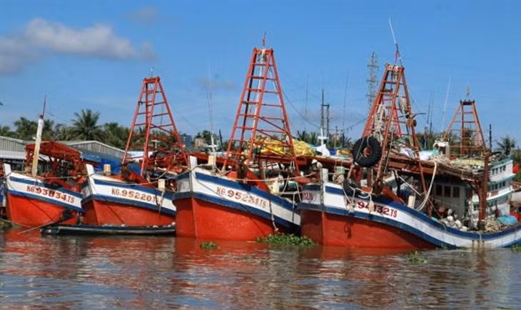 Fotografía: bienphong.com.vn