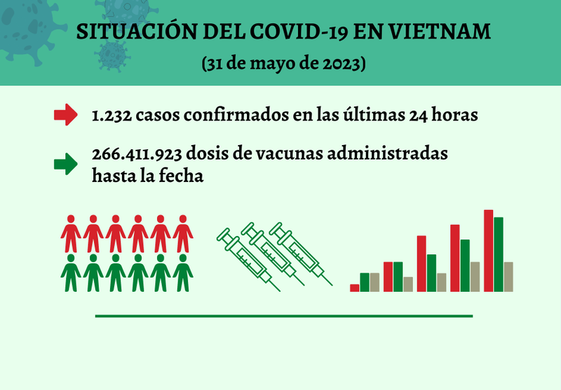Infografía: Actualización sobre la situación del Covid-19 en Vietnam - 31 de mayo de 2023