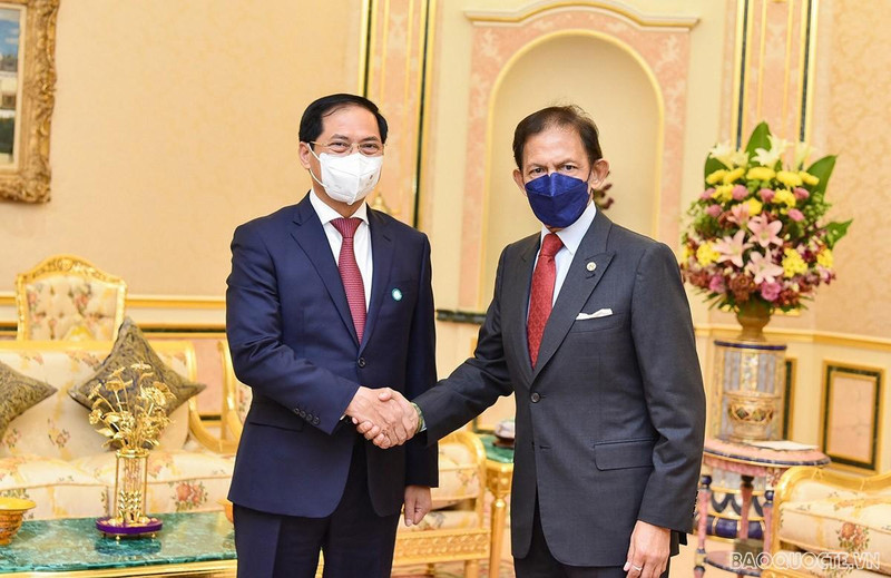 El sultán de Brunei, Haji Hassanal Bolkiah(izquierda), recibe al canciller vietnamita, Bui Thanh Son. (Fotografía: baoquocte.vn)