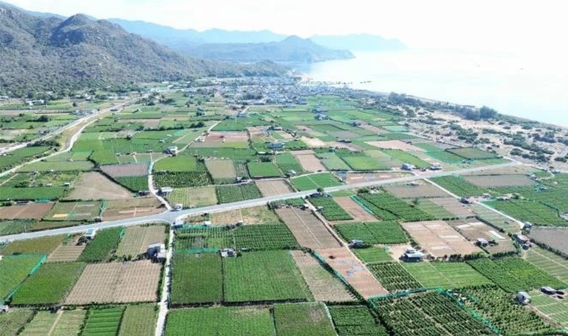 El proyecto de la planta de energía nuclear Ninh Thuan 2 se construirá en la aldea de Thai An, comuna de Vinh Hai, distrito de Ninh Hai. (Foto: VNA)