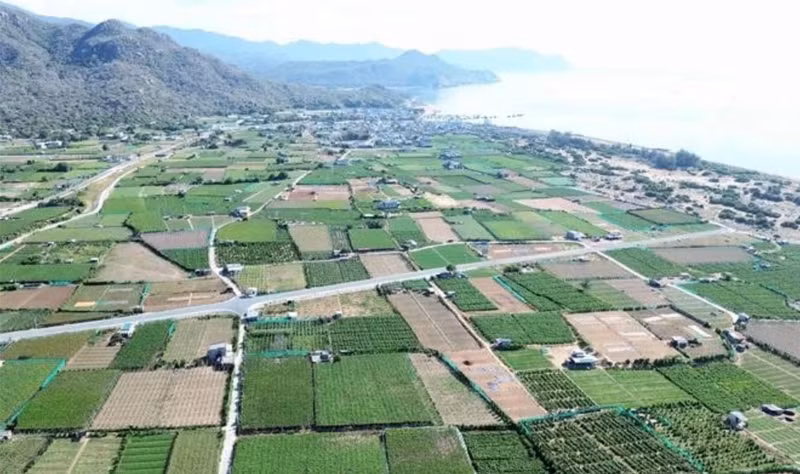 El proyecto de la planta de energía nuclear Ninh Thuan 2 se construirá en la aldea de Thai An, comuna de Vinh Hai, distrito de Ninh Hai. (Foto: VNA)