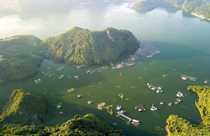 El desarrollo de la acuicultura combinada con el turismo es una gran ventaja para los residentes que crían peces en jaulas en las aguas del embalse Hoa Binh.