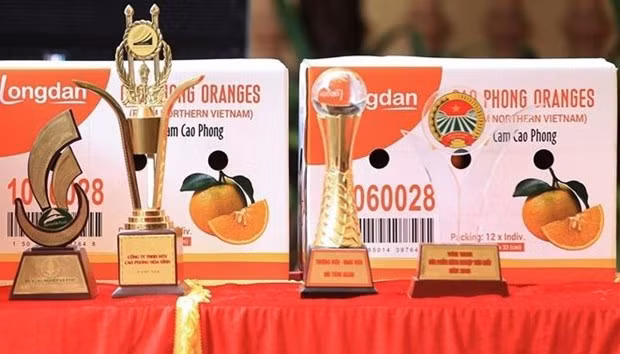 Marca de naranja Cao Phong (Fotografía: VNA)