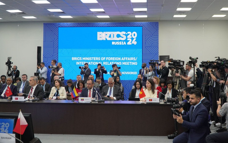 La vicecanciller vietnamita Nguyen Minh Hang asiste al Diálogo BRICS con países en desarrollo en Rusia. (Foto: VNA)