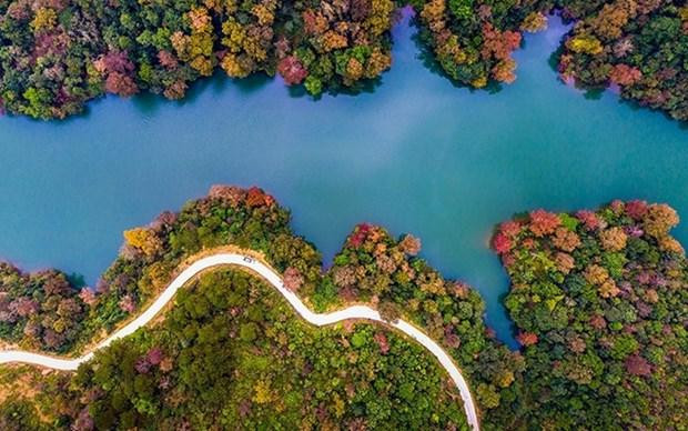 Otoño en el lago Ban Viet (del autor Vu Bao Ngoc) - Obra ganadora del primer premio del concurso "Hermosas fotos del Geoparque Global Non Nuoc Cao Bang de la Unesco y Turismo de Cao Bang" en 2019. (Fotografía: vietnamtourism.gov.vn)