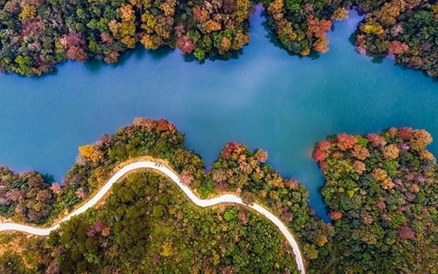 Otoño en el lago Ban Viet (del autor Vu Bao Ngoc) - Obra ganadora del primer premio del concurso "Hermosas fotos del Geoparque Global Non Nuoc Cao Bang de la Unesco y Turismo de Cao Bang" en 2019. (Fotografía: vietnamtourism.gov.vn)