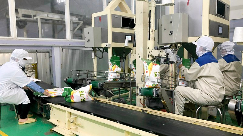 Auguran buenas perspectivas para exportaciones de arroz de Vietnam en 2024