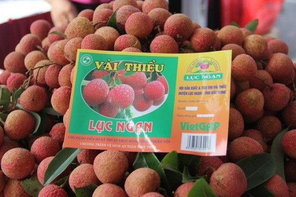 El lichi de Luc Ngan, Bac Giang. (Fotografía: VNA)