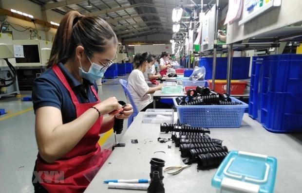 Producción de componentes en la provincia de Dong Nai (Fotografía: VNA)