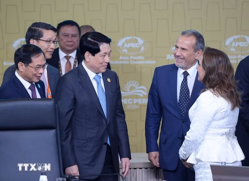El presidente Luong Cuong y su par peruana Dina Ercilia Boluarte Zegarra en el evento.