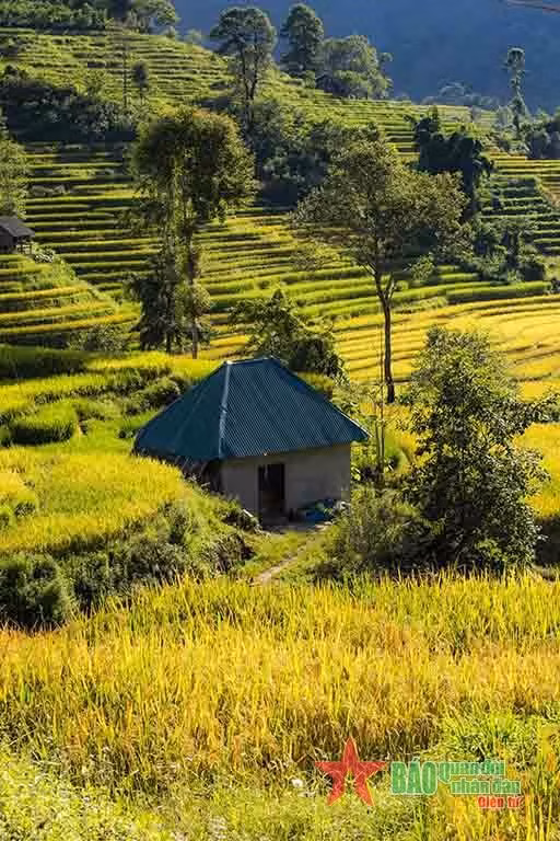 Las casas tradicionales de la gente aquí.