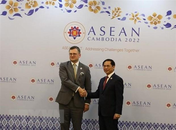 El ministro de Relaciones Exteriores de Vietnam, Bui Thanh Son (D), y su homólogo ucraniano, Dmytro Kuleba. (Fotografía: VNA)