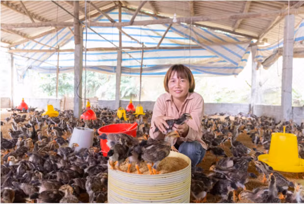 Foto ilustrativa. (Fuente: congthuong.vn)