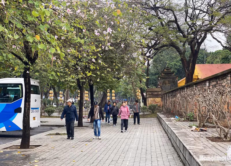 La calle llena de flores ofrece experiencias maravillosas a los turistas internacionales.