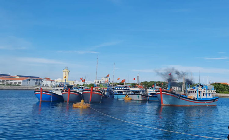 Fotografía; thuysanvietnam.com.vn