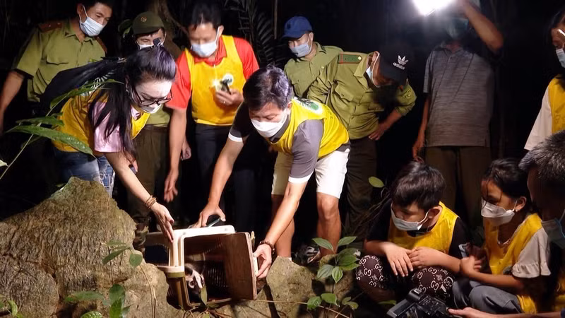 El recorrido "Regreso a casa" del Parque Nacional Cuc Phuong atrae a muchos turistas, contribuyendo a difundir el mensaje de conservación de la vida silvestre.