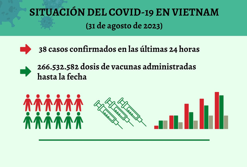 Infografía: Actualización sobre la situación del Covid-19 en Vietnam - 31 de agosto de 2023