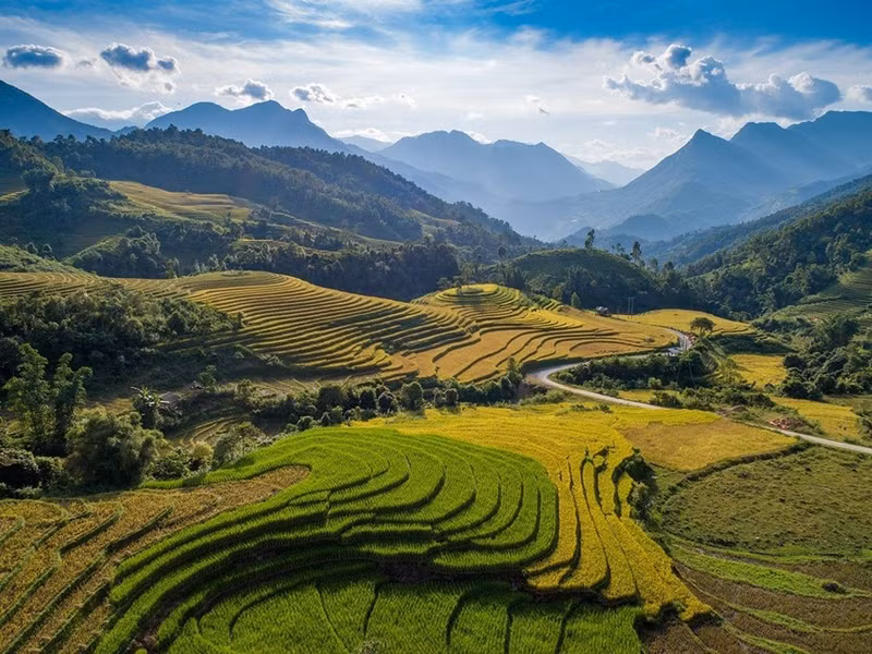 La temporada de arroz maduro de Sapa es especialmente atractiva para los turistas. La temporada de arroz maduro de Sapa es especialmente atractiva para los turistas.