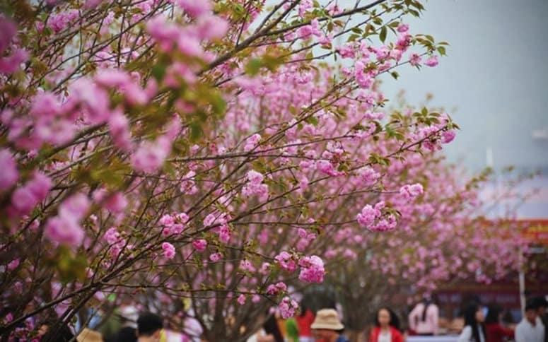 Fotografía: nghenghiepcuocsong.vn